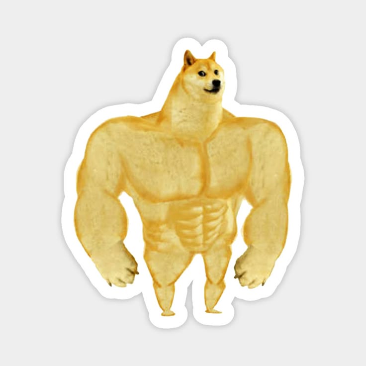 Swole Doge Meme